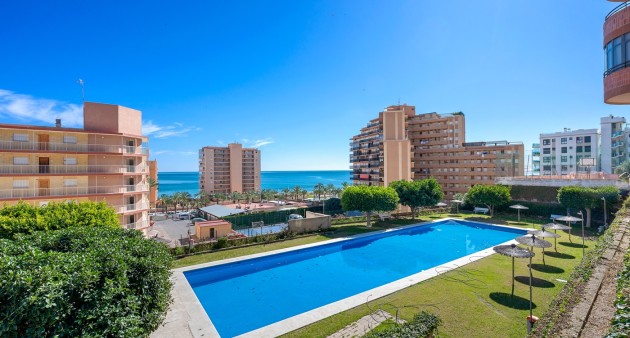 Apartment - Vente - Arenales del Sol - JU-003524