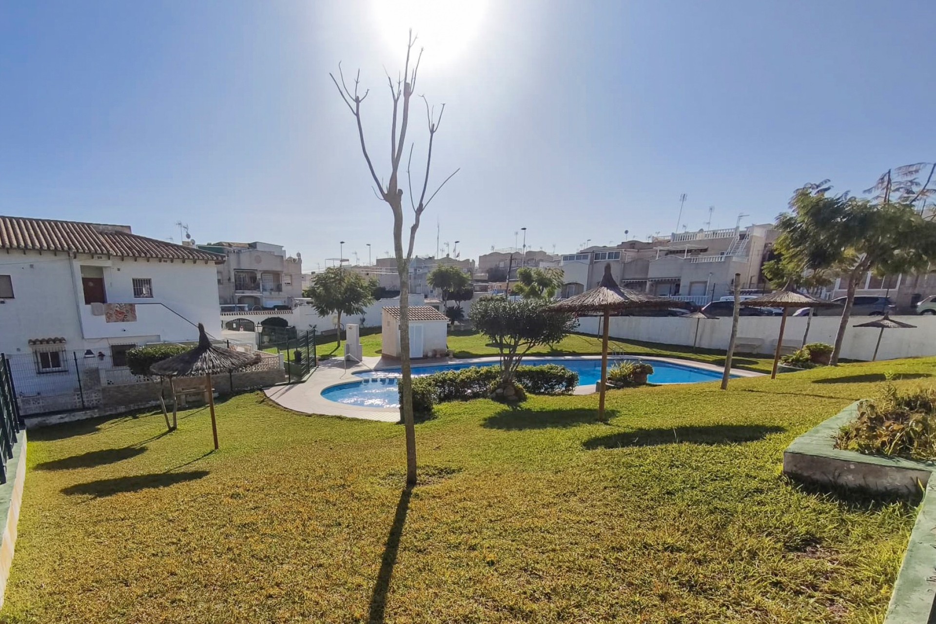 Bruktbolig - Bungalow - Torrevieja - Lago jardin