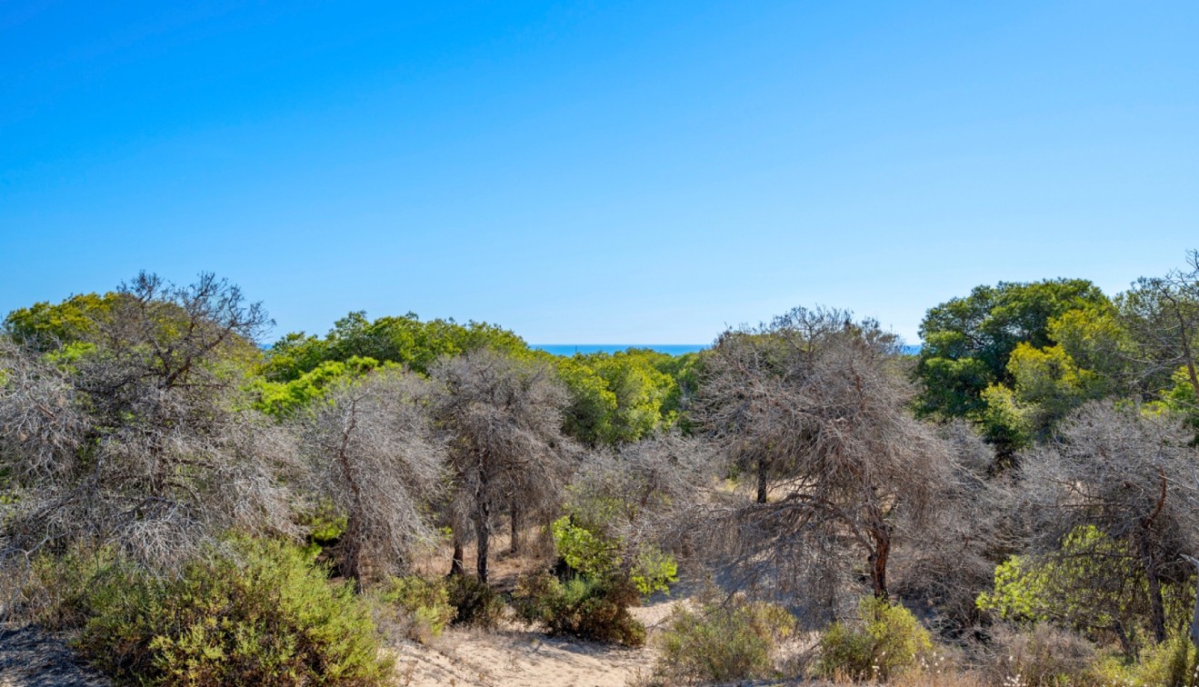 Bruktbolig - Leilighet - Guardamar del Segura - Guardamar