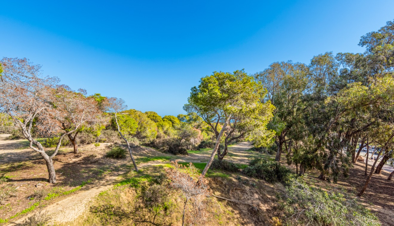 Bruktbolig - Leilighet - Guardamar del Segura