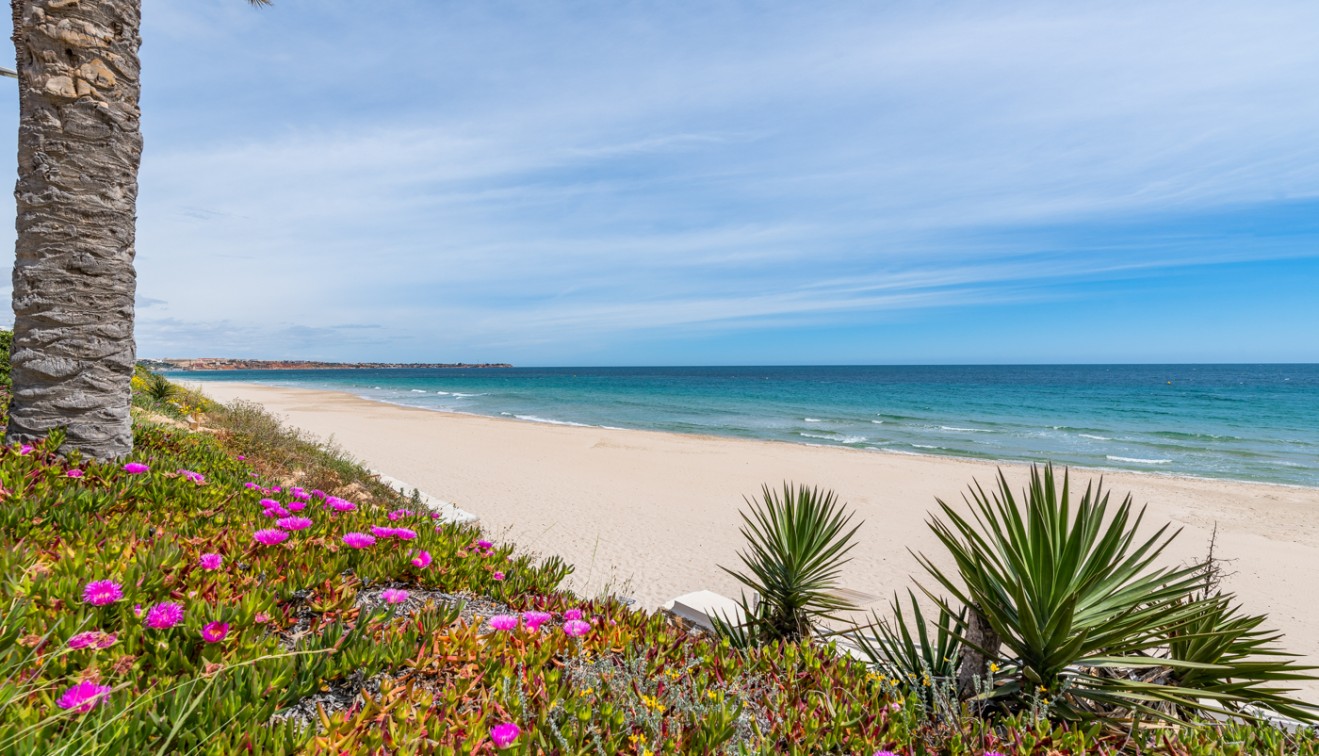Bruktbolig - Leilighet - Orihuela costa - Mil Palmeras