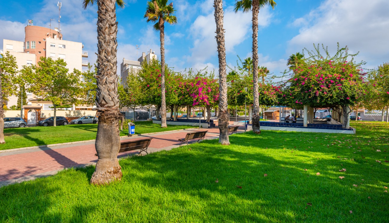 Bruktbolig - Leilighet - Torrevieja