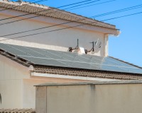 Bruktbolig - Villa - Ciudad Quesada - Rojales