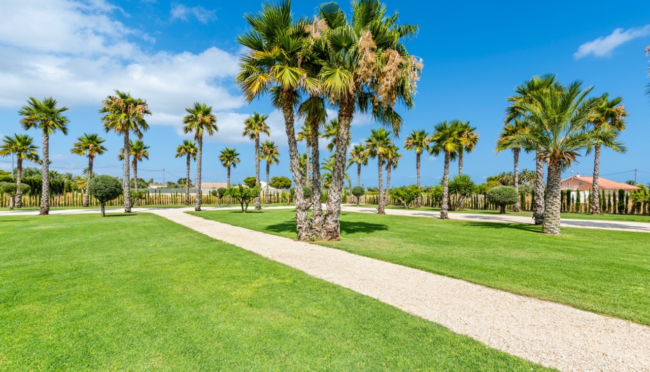 Bruktbolig - Villa - Elche/Elx