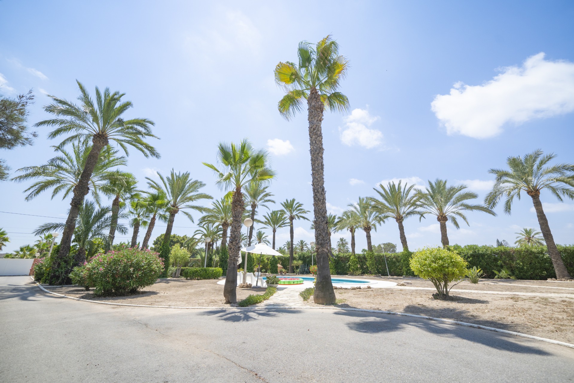 Bruktbolig - Villa - Elche/Elx