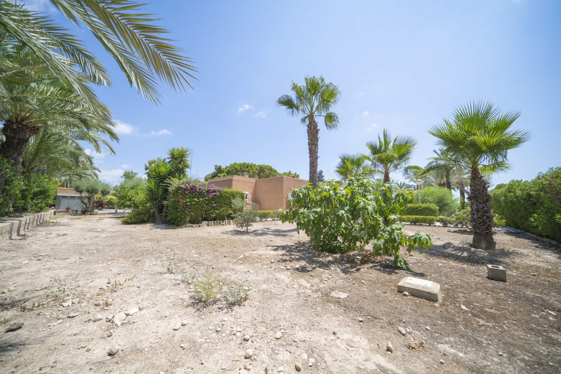 Bruktbolig - Villa - Elche/Elx