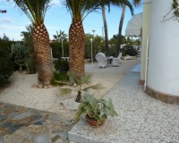 Bruktbolig - Villa - Torrevieja