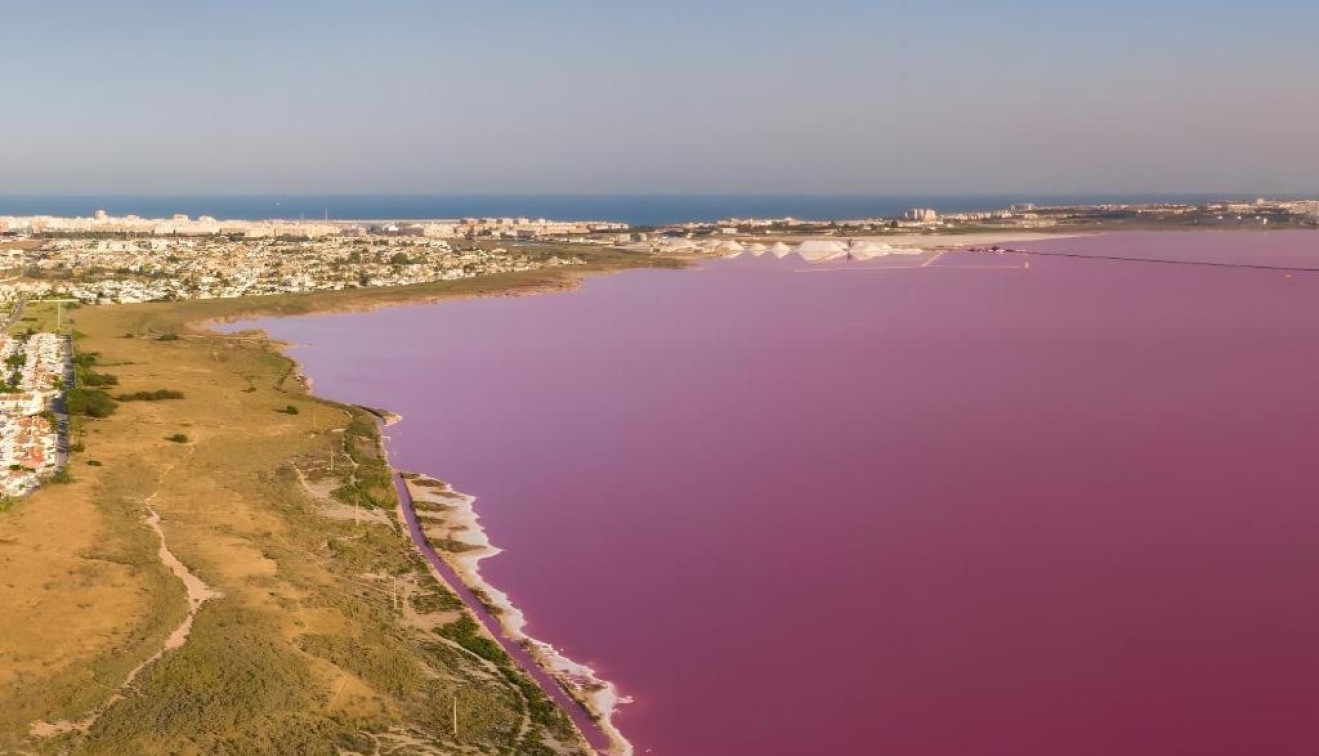 Bruktbolig - Villa - Torrevieja