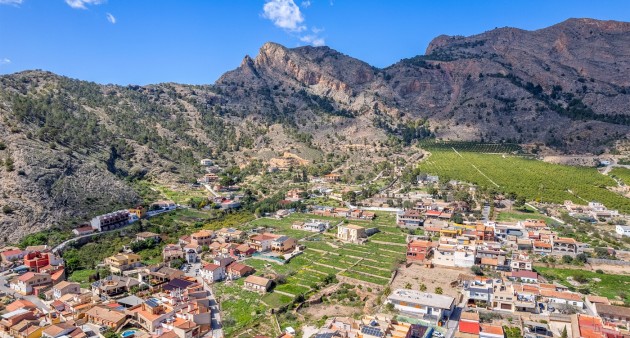 Finca - Venta - Orihuela - A-003352