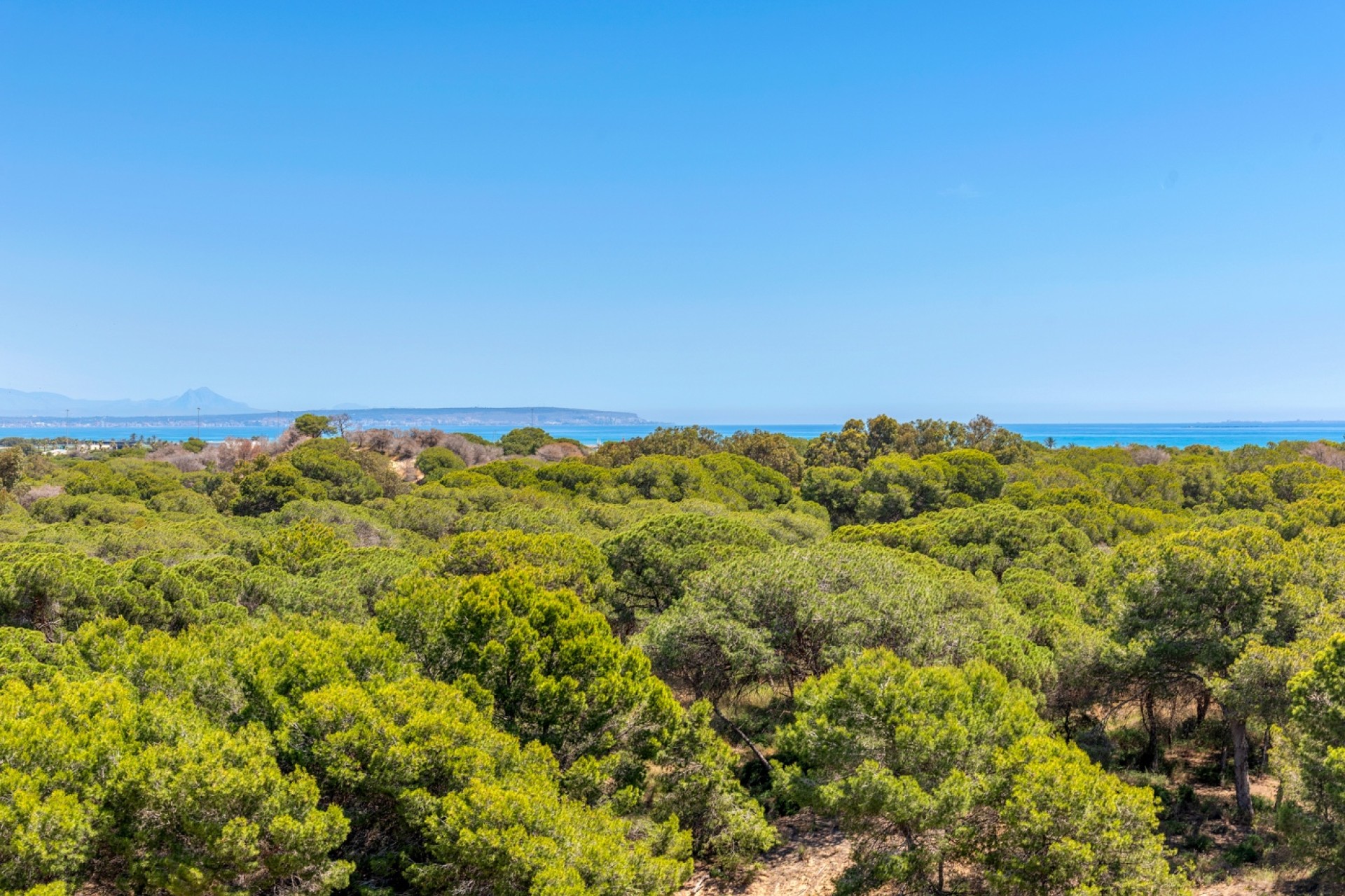 New Build - Apartment - Guardamar del Segura - Puerto Deportivo