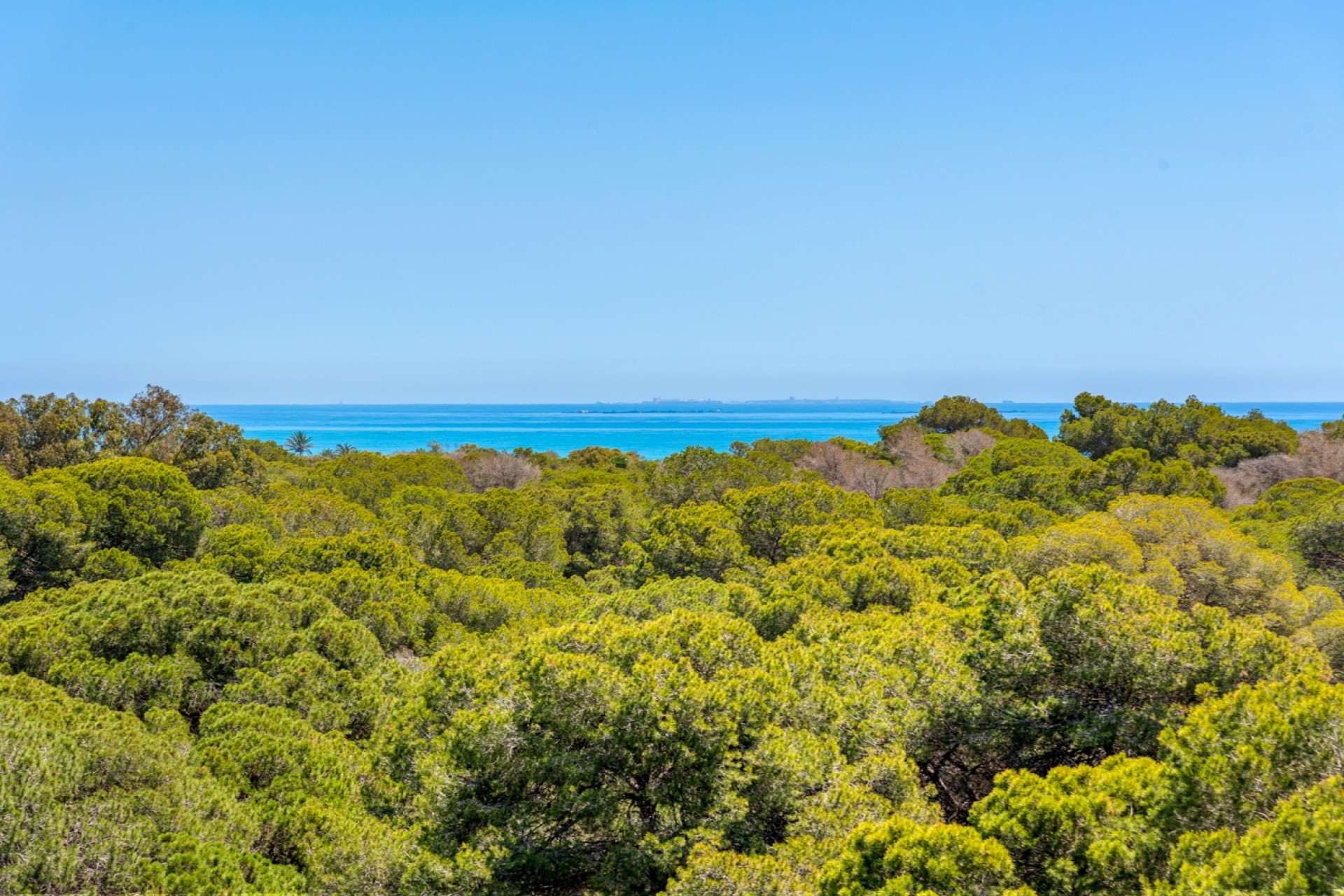 New Build - Apartment - Guardamar del Segura - Puerto Deportivo