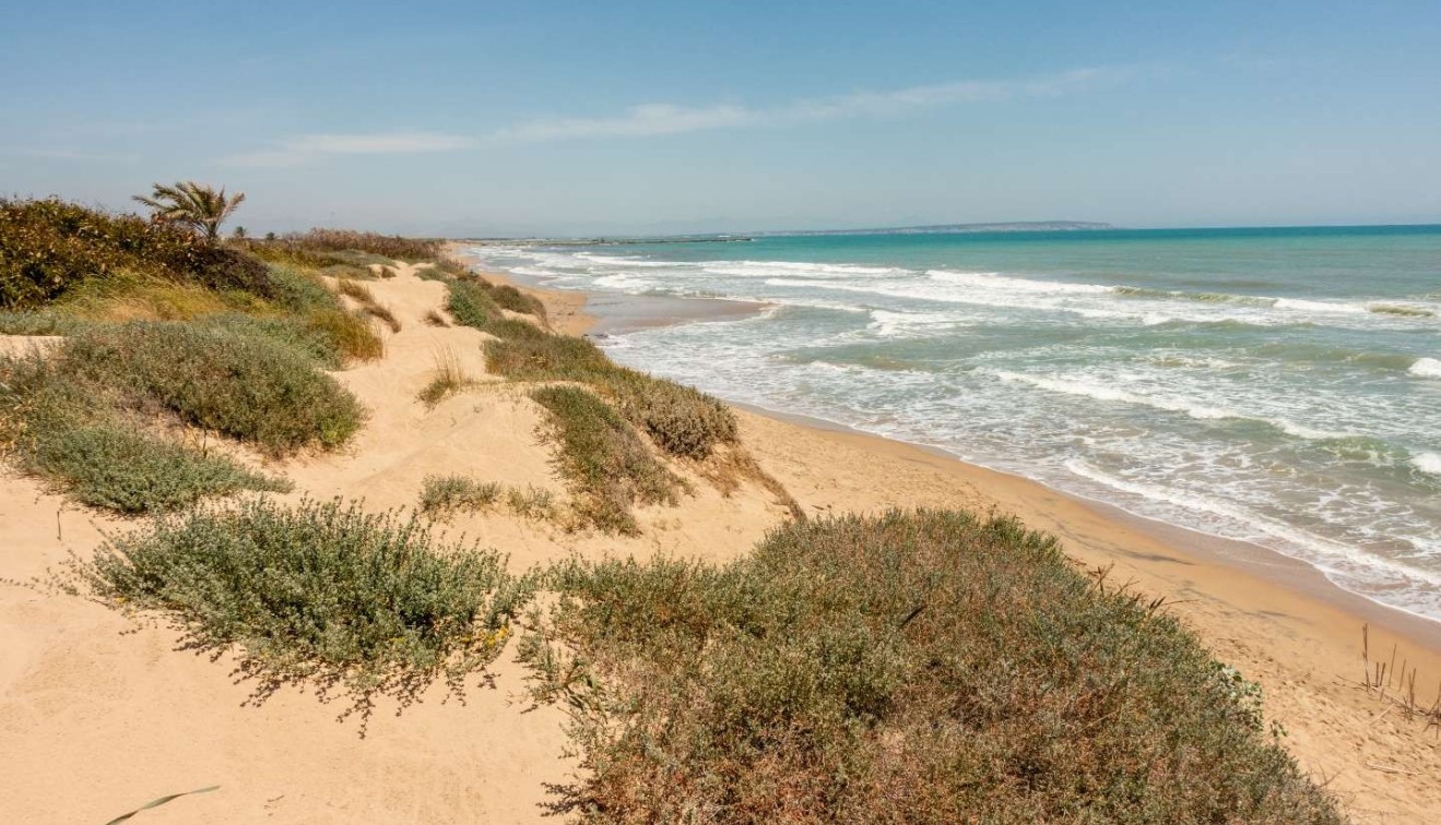 New Build - Apartment - Guardamar del Segura