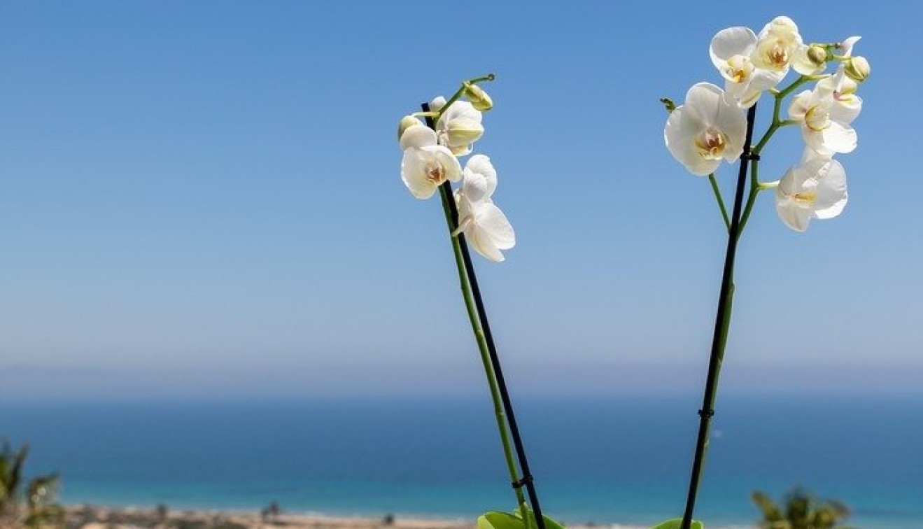 New Build - Apartment - Santa Pola - Gran Alacant