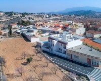 New Build - Bungalow - Hondon de las Nieves - El Salero