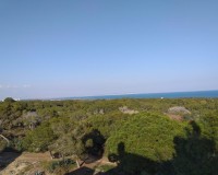 New Build - Ground floor apartment - Guardamar del Segura - Pueblo