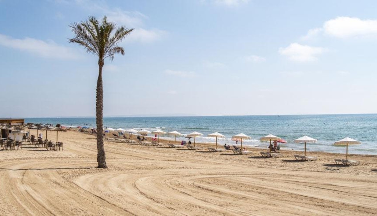 New Build - Penthouse - Guardamar del Segura - Pueblo