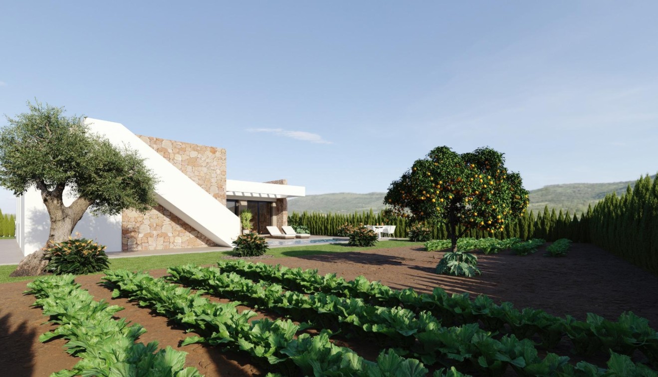 New Build - Villa - Fuente Álamo - Hacienda del Alamo