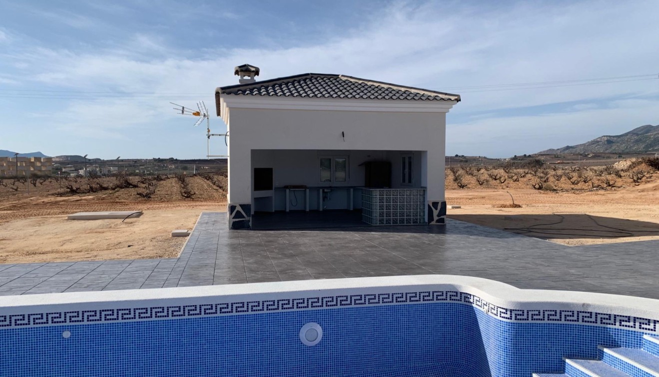 New Build - Villa - Pinoso - Camino Del Prado