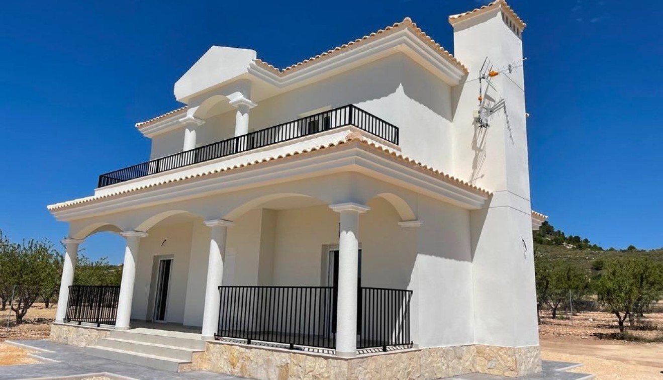 New Build - Villa - Pinoso - Camino Del Prado