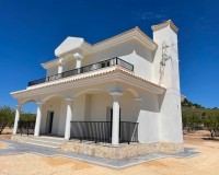 New Build - Villa - Pinoso - Camino Del Prado