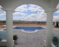 New Build - Villa - Pinoso - Camino Del Prado