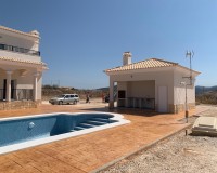 New Build - Villa - Pinoso - Camino Del Prado