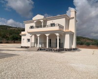 New Build - Villa - Pinoso - Camino Del Prado