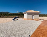 New Build - Villa - Pinoso - Camino Del Prado