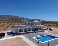 New Build - Villa - Pinoso - Camino Del Prado