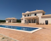 New Build - Villa - Pinoso - Camino Del Prado