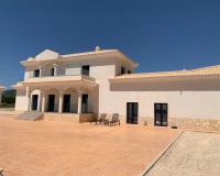 New Build - Villa - Pinoso - Camino Del Prado