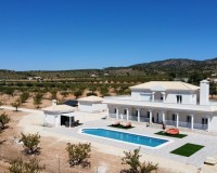 New Build - Villa - Pinoso - Camino Del Prado