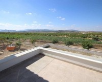 New Build - Villa - Pinoso - Camino Del Prado