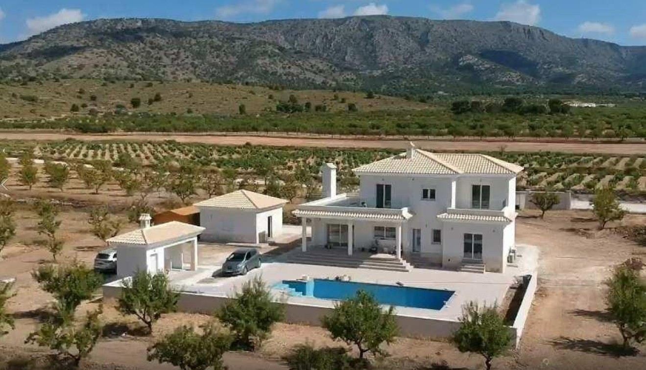 New Build - Villa - Pinoso - Camino Del Prado