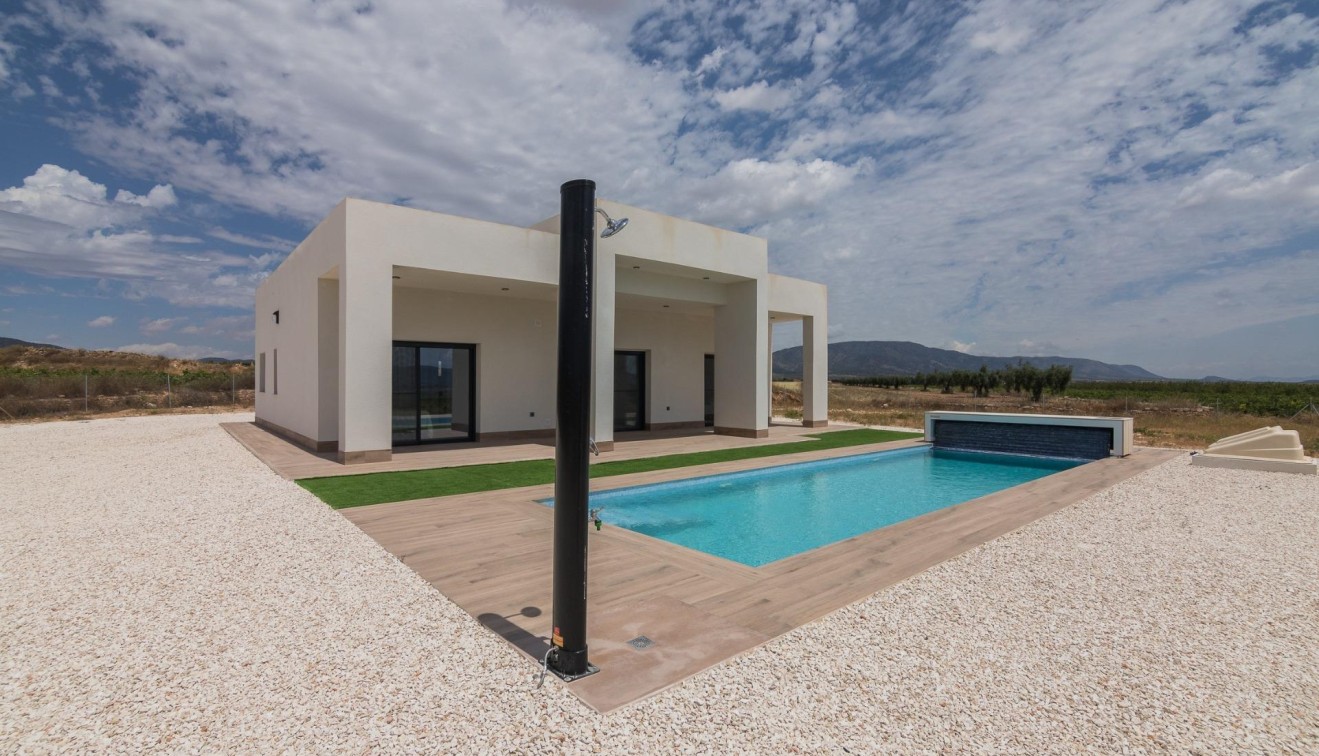 New Build - Villa - Pinoso - Campo