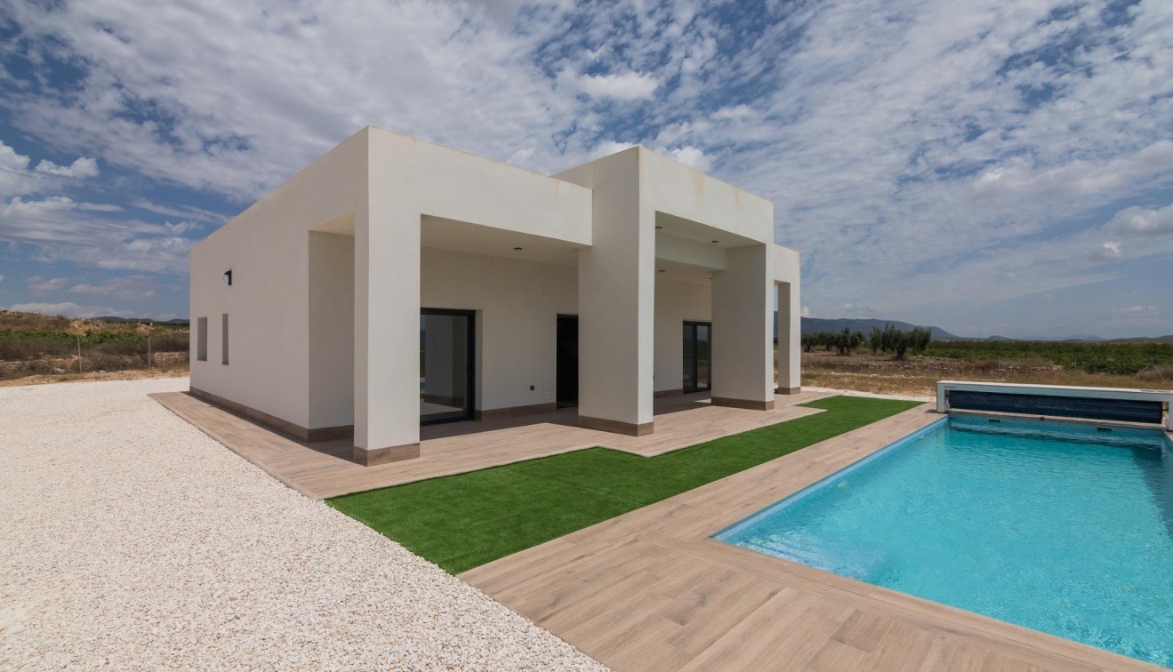 New Build - Villa - Pinoso - Campo