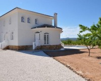 New Build - Villa - Pinoso - Campo