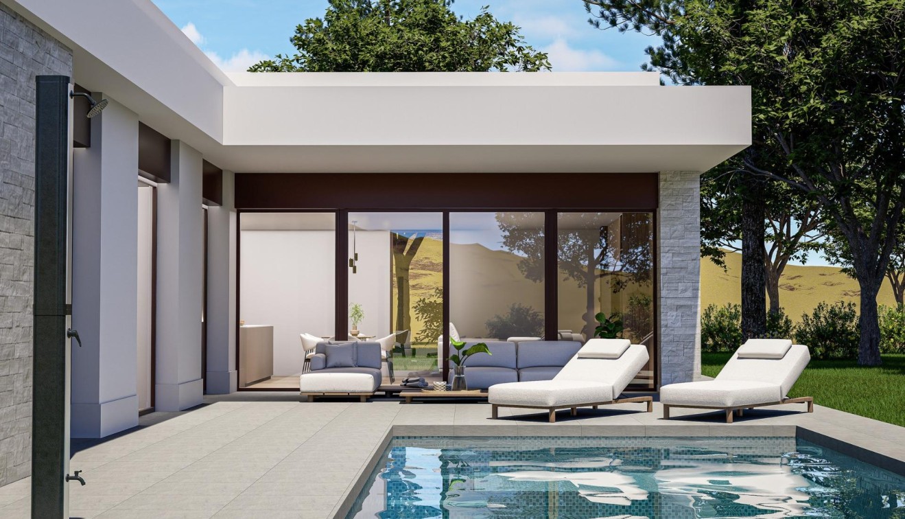 New Build - Villa - Pinoso - Lel