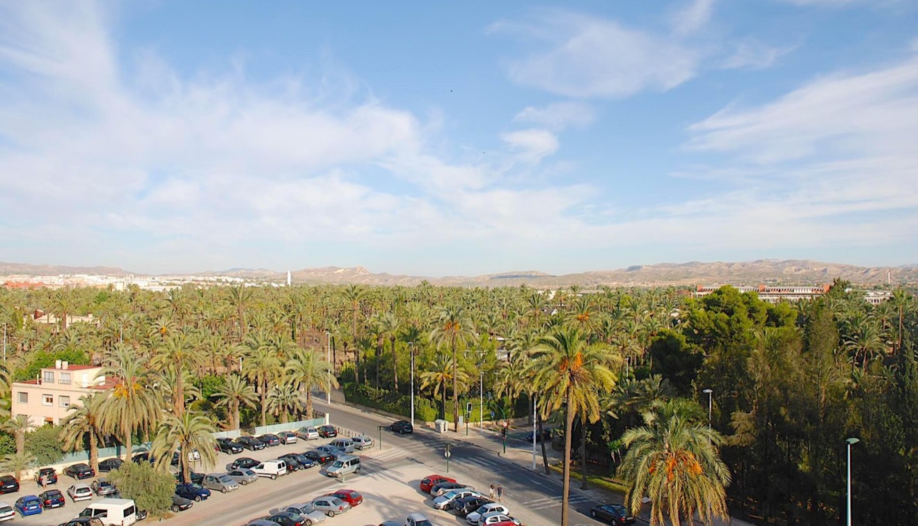 Nieuwbouw - Appartement - Elche/Elx