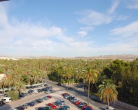 Nieuwbouw - Appartement - Elche/Elx