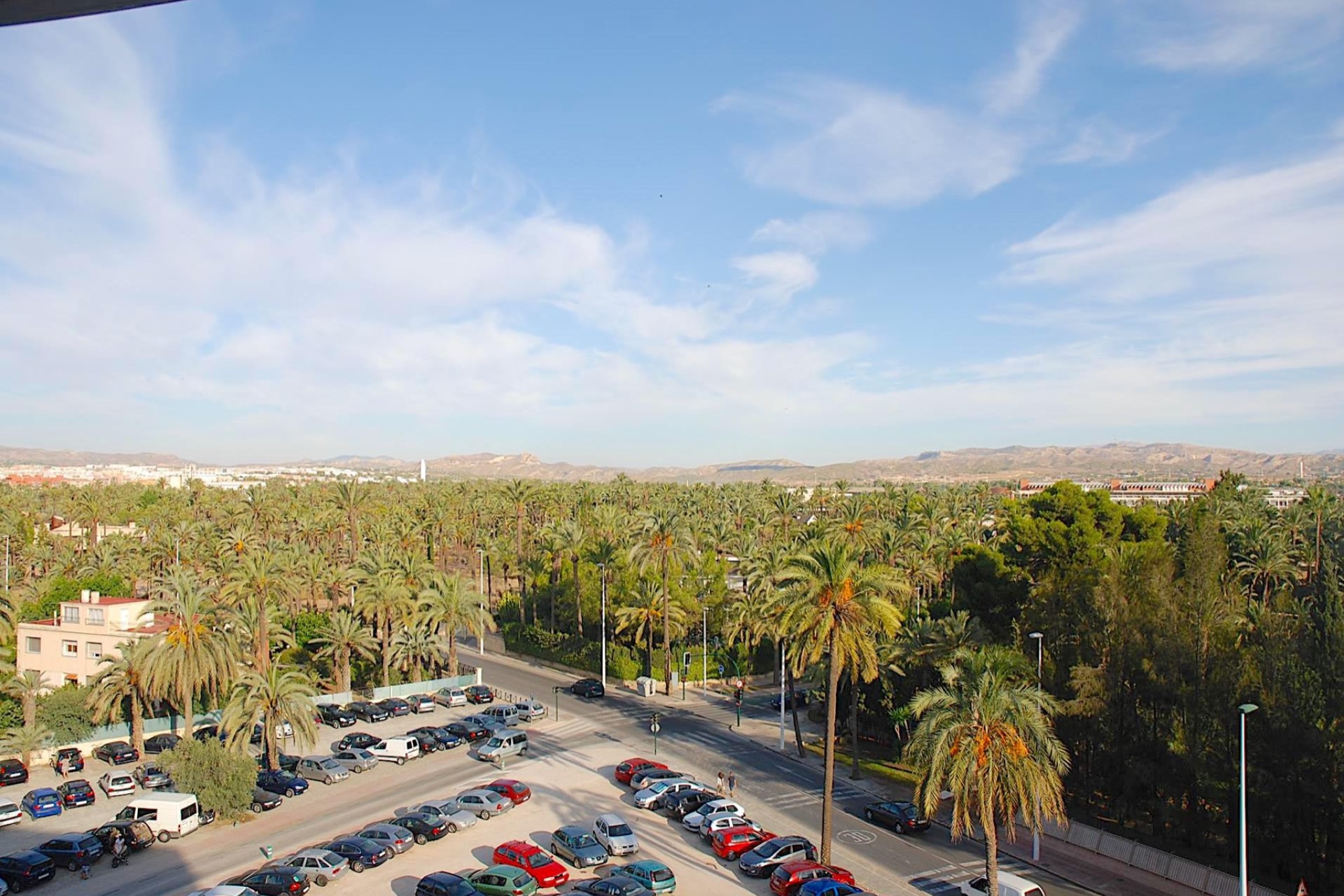 Nieuwbouw - Appartement - Elche/Elx