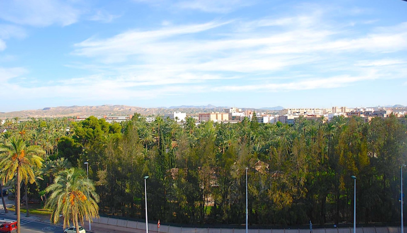 Nieuwbouw - Appartement - Elche/Elx