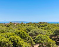 Nieuwbouw - Appartement - Guardamar del Segura - Puerto Deportivo