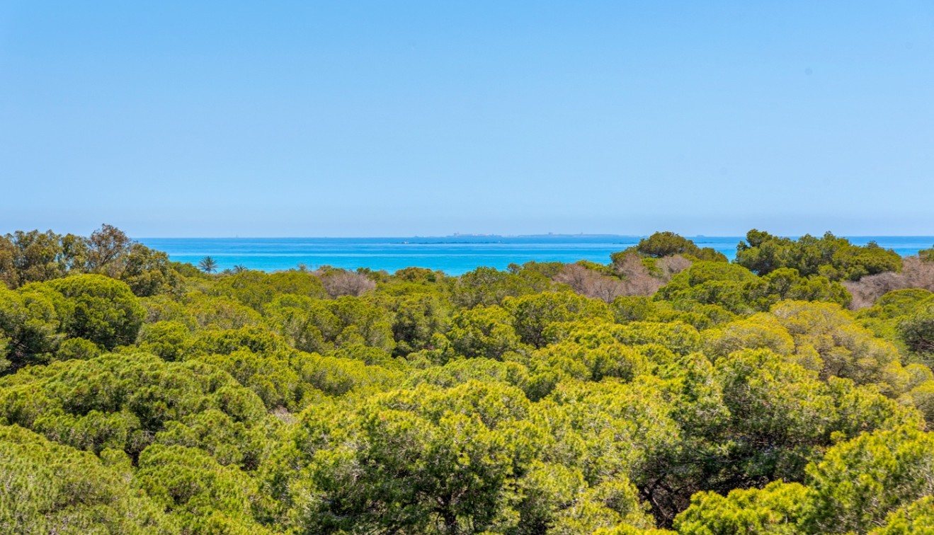 Nieuwbouw - Appartement - Guardamar del Segura - Puerto Deportivo