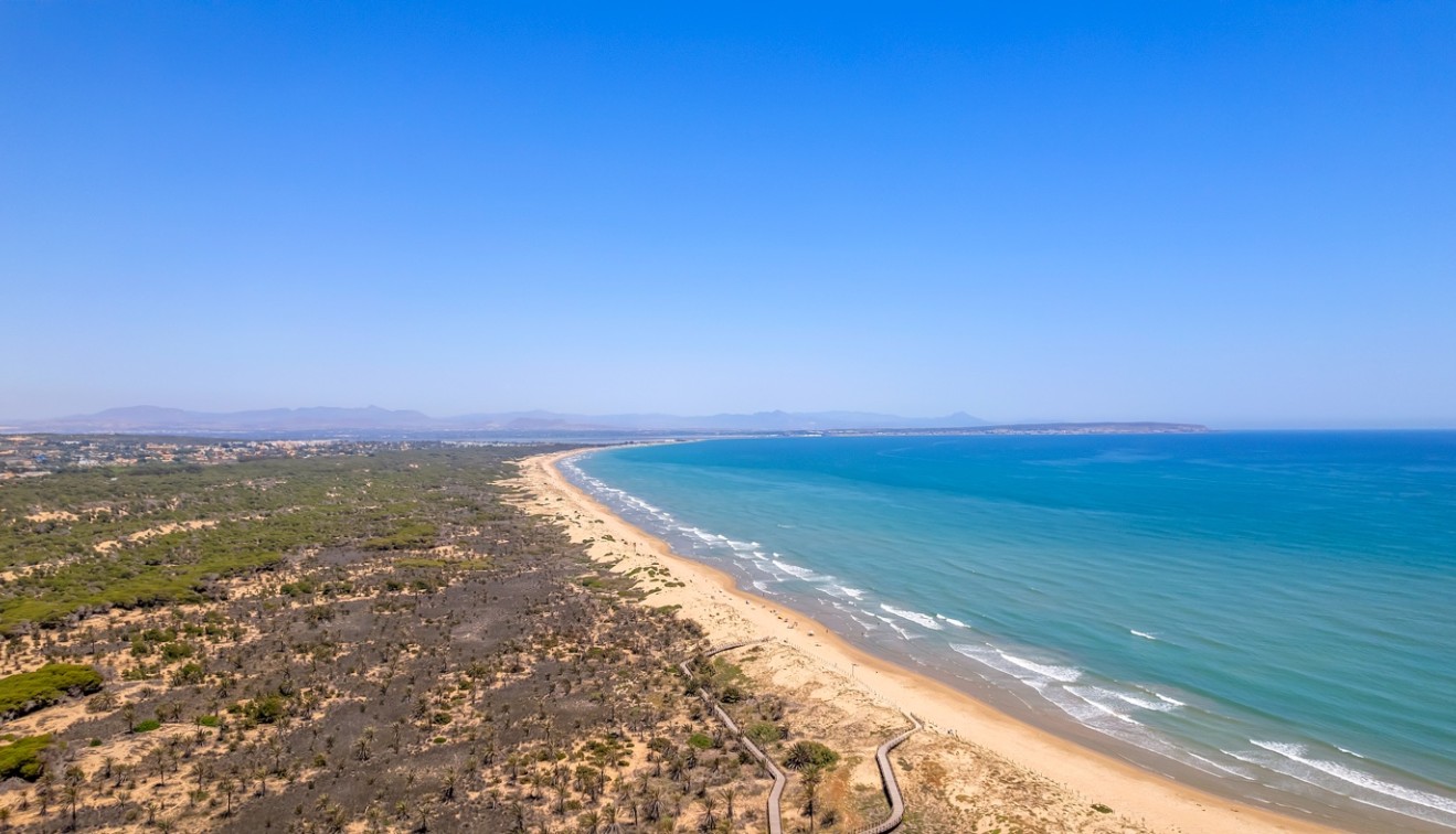 Nieuwbouw - Appartement - Guardamar del Segura - Puerto Deportivo