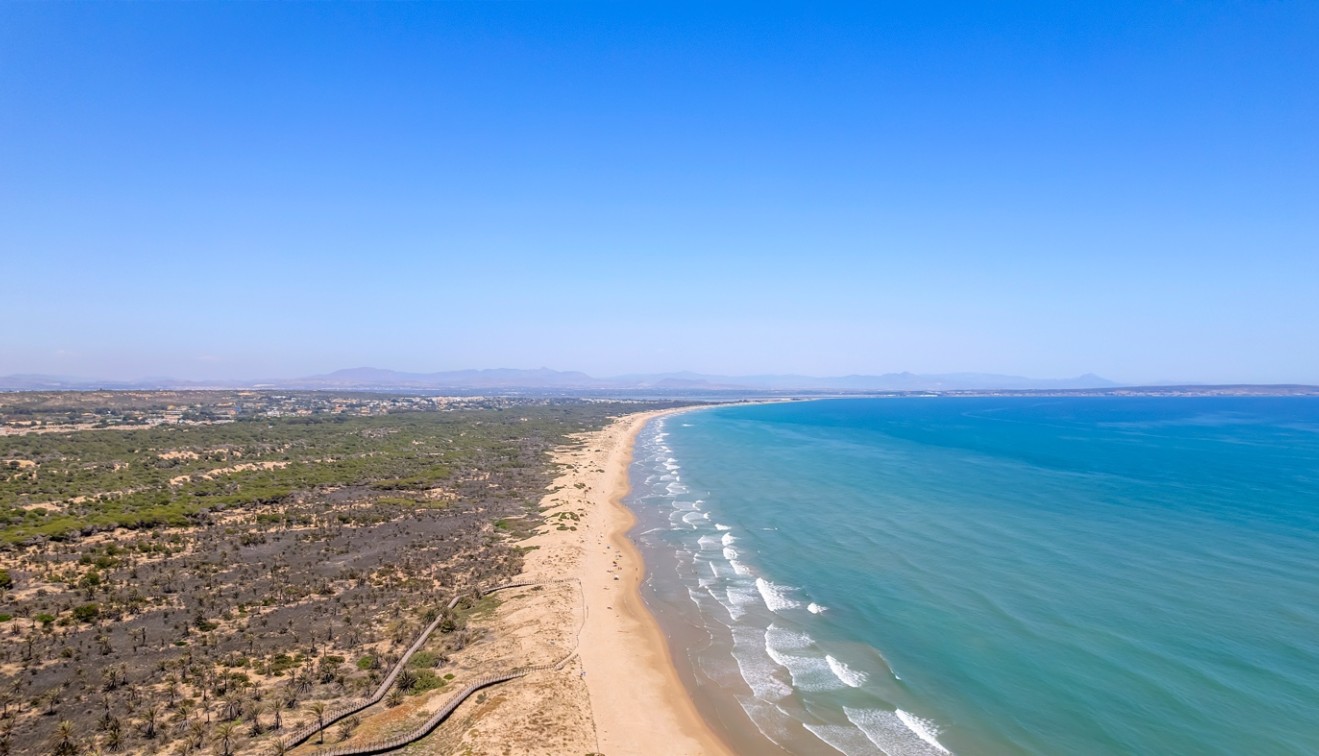 Nieuwbouw - Appartement - Guardamar del Segura - Puerto Deportivo