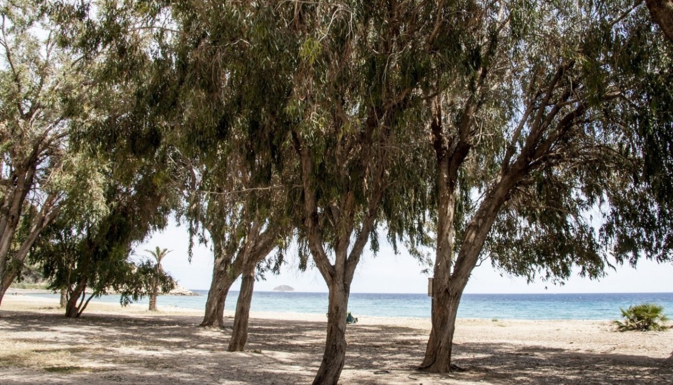 Nieuwbouw - Appartement - Villajoyosa - Playa Les Torres