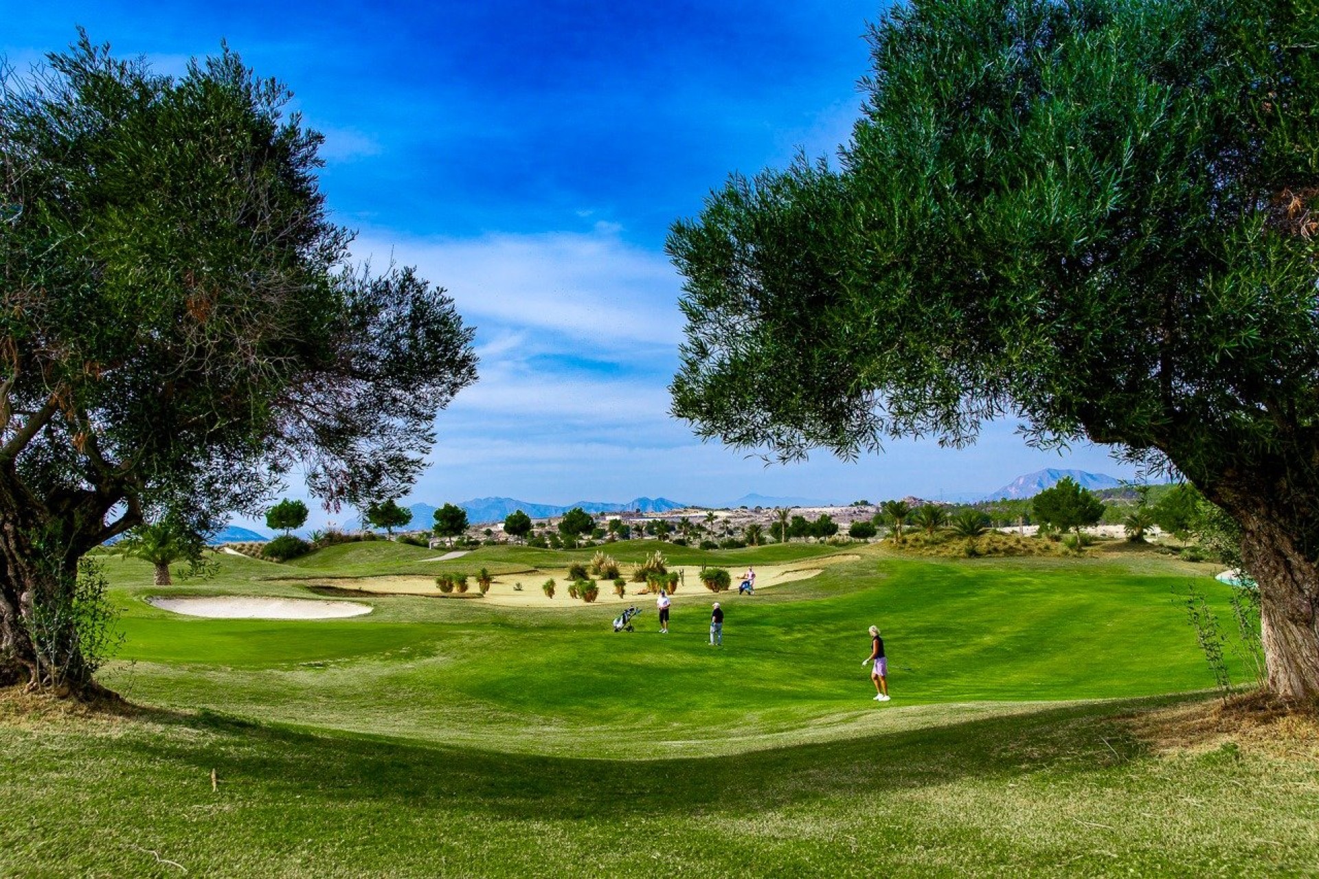 Nieuwbouw - Bungalow - Orihuela - Vistabella Golf