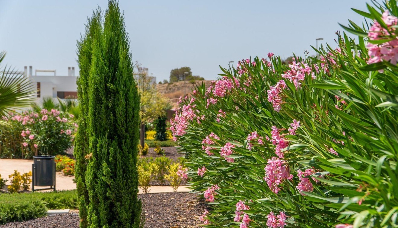 Nieuwbouw - Bungalow - Orihuela - Vistabella Golf