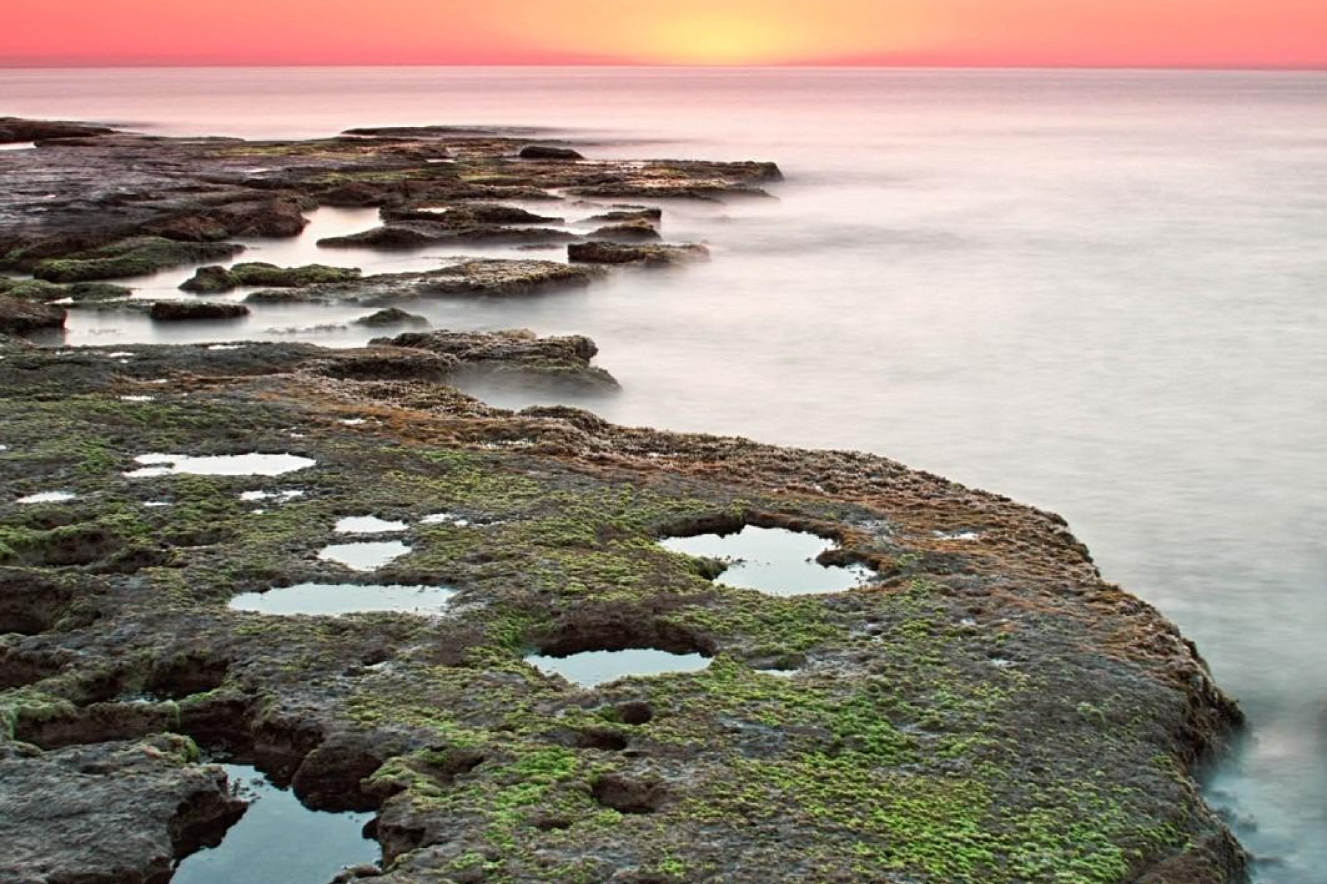 Nieuwbouw - Bungalow - Torrevieja - Altos del Sol